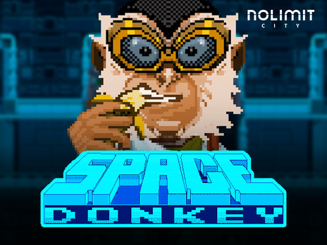 Space Donkey играть онлайн